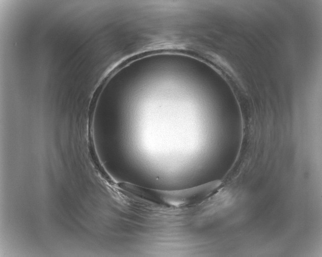 X0000065991220200603101456