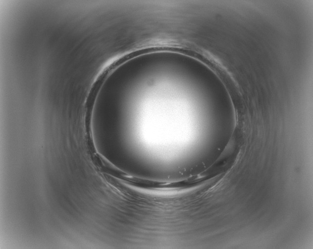 X0000065991222200603101456