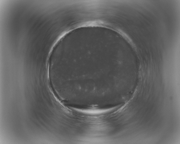 X0000065991224200603101456