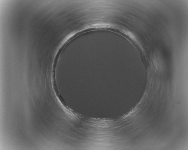 X0000065991229200603101456