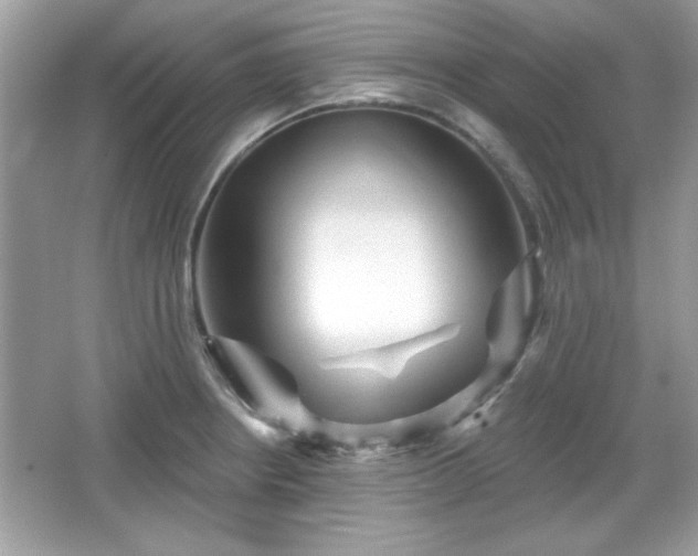 X0000065991234200603101456