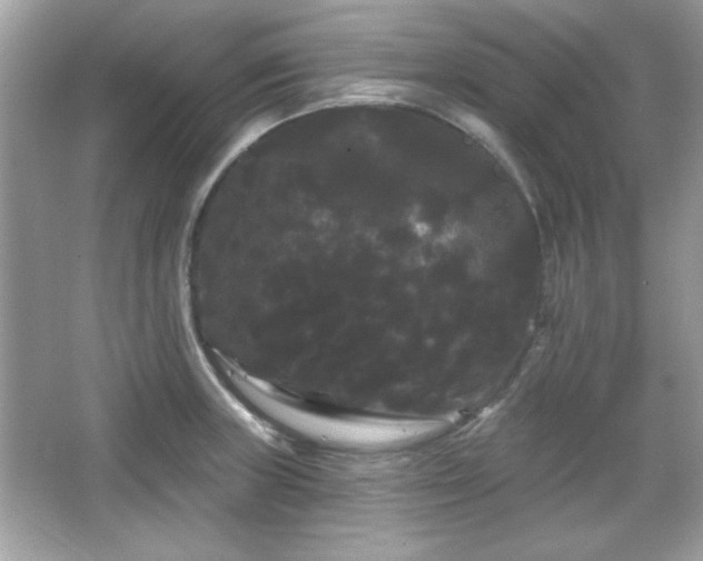 X0000065991235200603101456