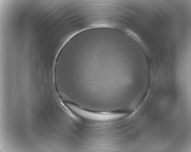 X0000065991236200603101456