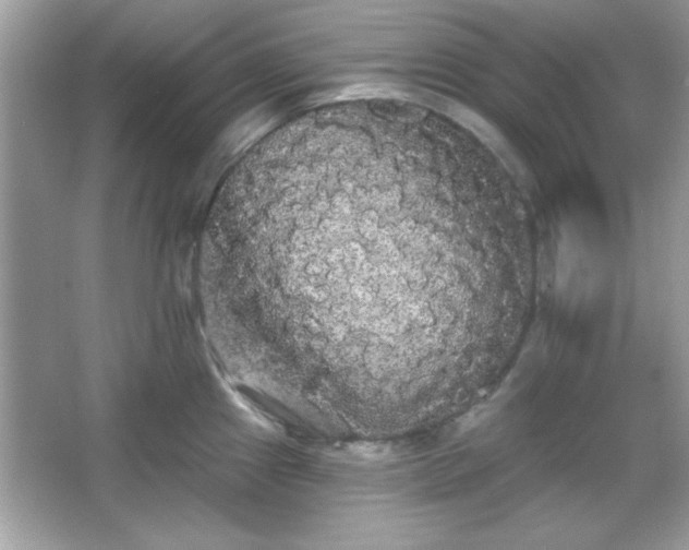 X0000065991241200603101456