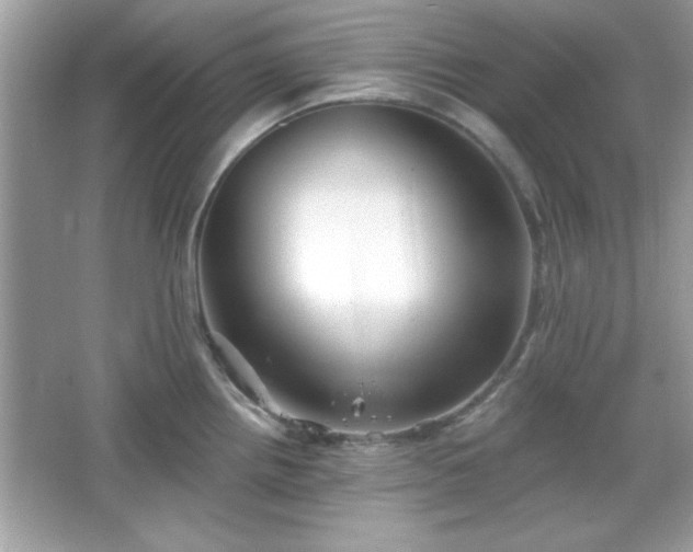 X0000065991242200603101456