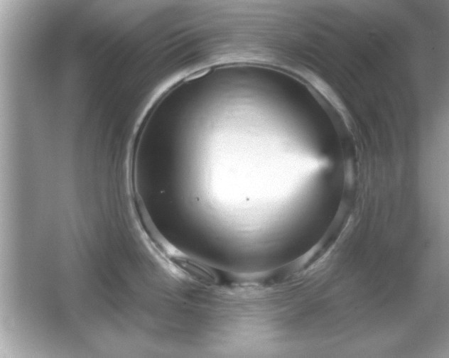 X0000065991246200603101456