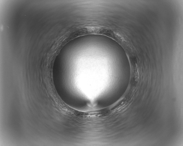 X0000065991249200603101455