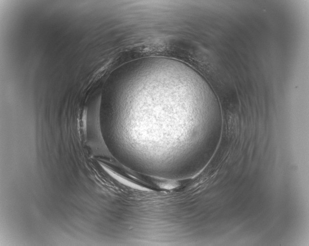 X0000065991250200603101455