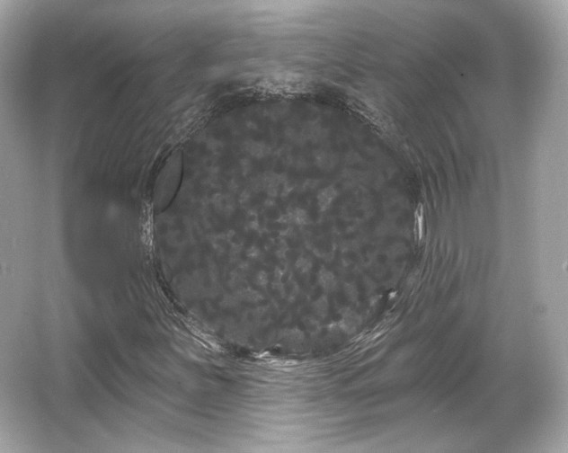 X0000065991251200603101455