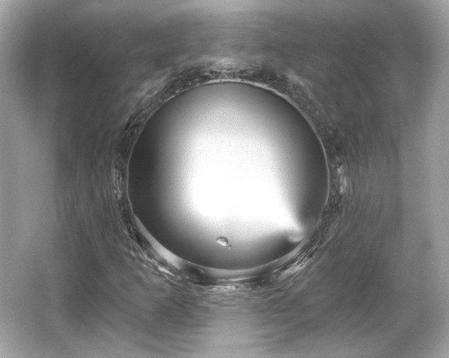 X0000065991253200603101455