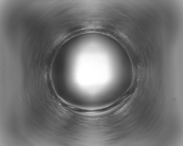 X0000065991257200603101455