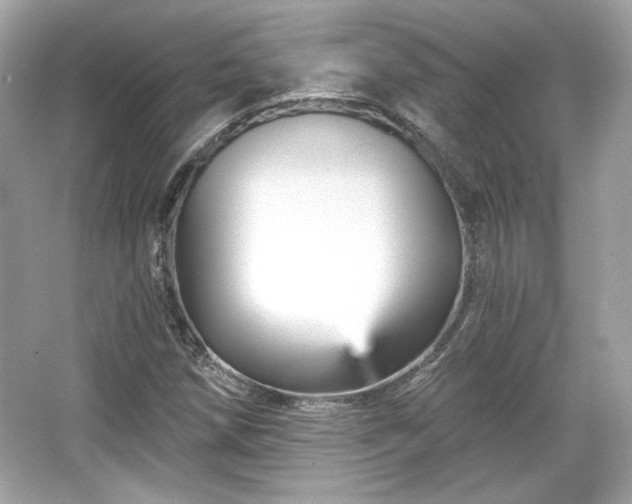 X0000065991258200603101455