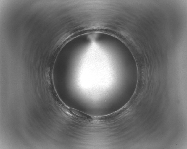X0000065991265200603101455