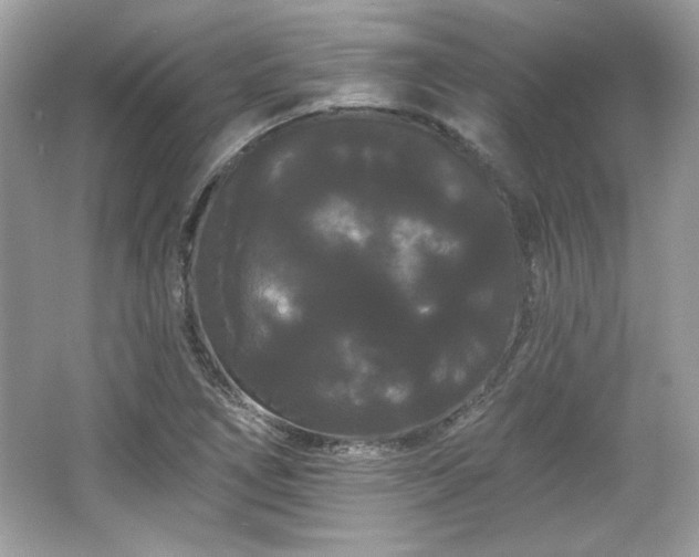 X0000065991266200603101455