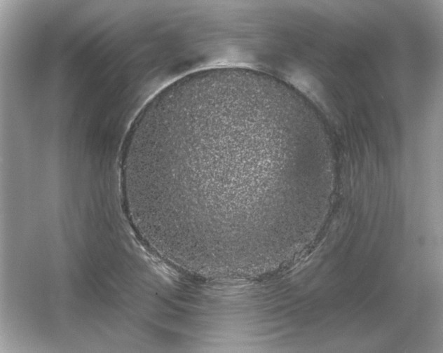 X0000065991268200603101455