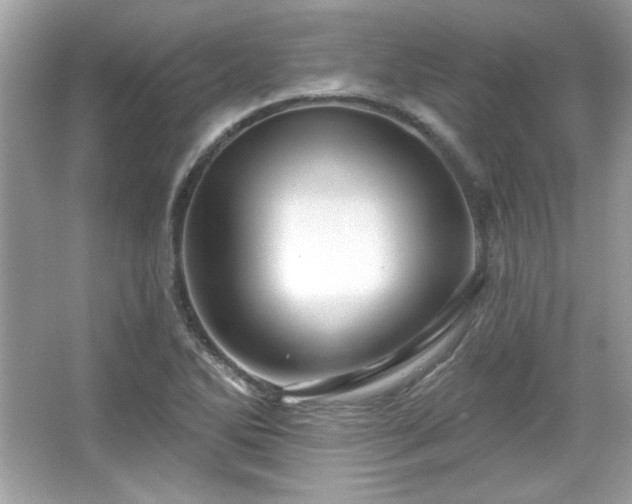 X0000065991270200603101455