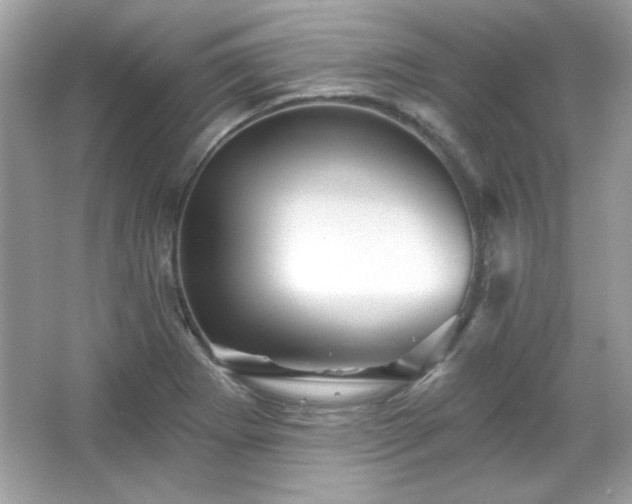 X0000065991273200603101455