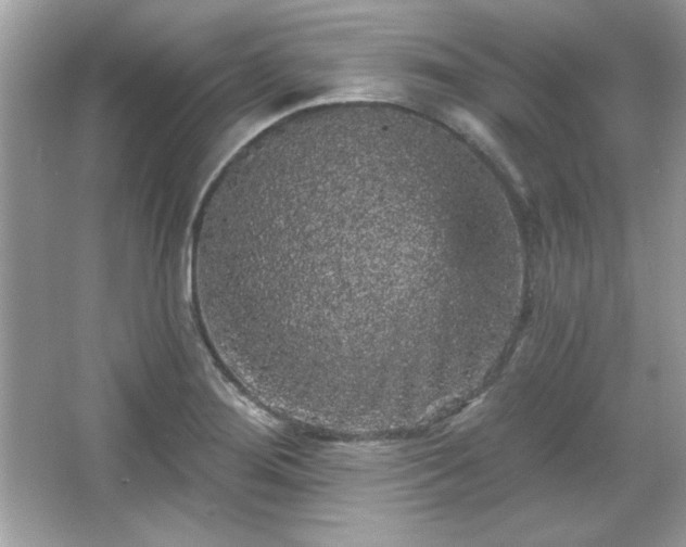 X0000065991276200603101455