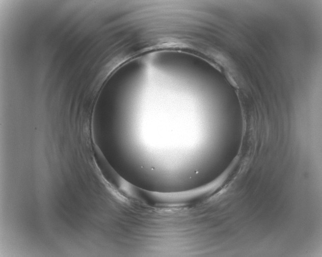 X0000065991281200603101455