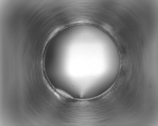 X0000065991282200603101455