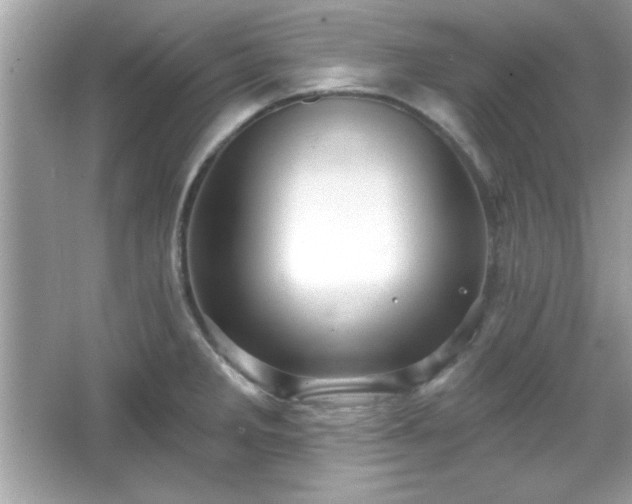 X0000065991285200603101455