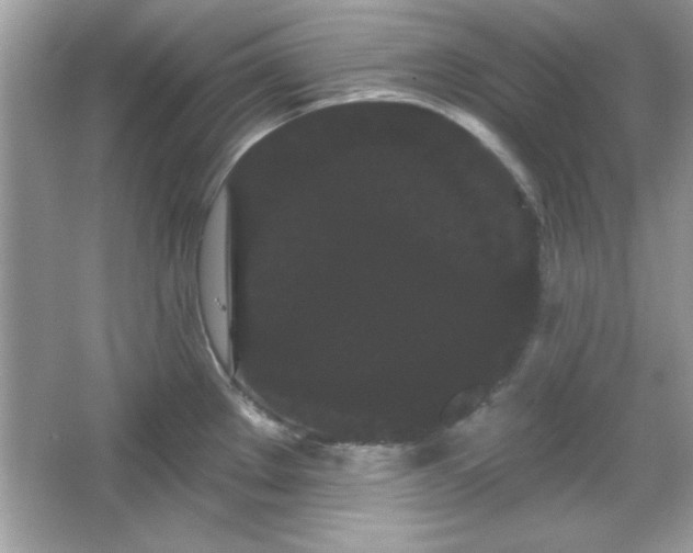 X0000065991289200603101455