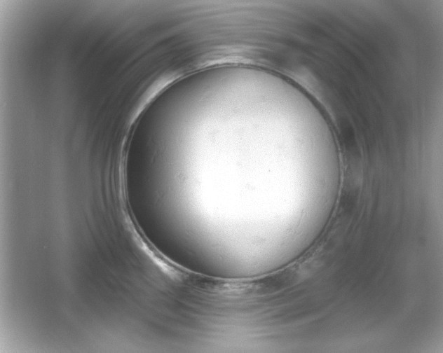 X0000065991290200603101455