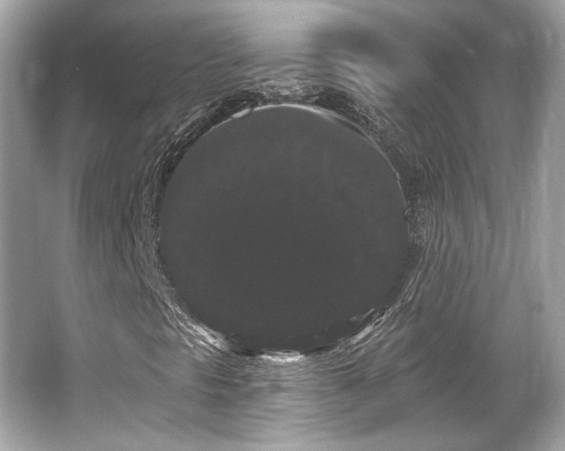 X0000065991297200603101454