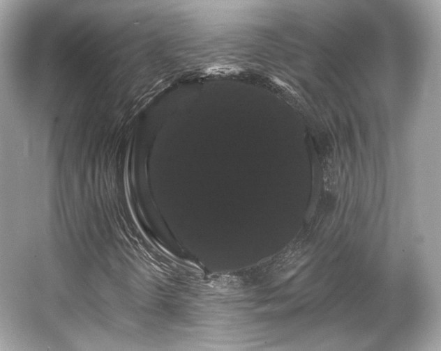 X0000065991298200603101454