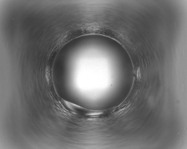X0000065991299200603101454
