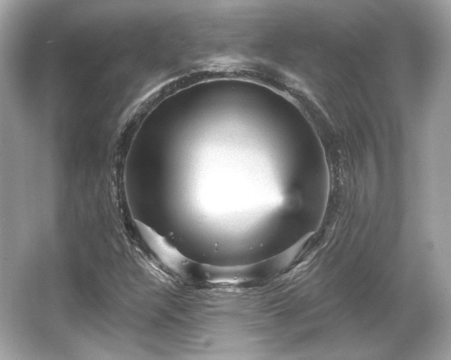 X0000065991304200603101454