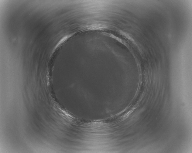 X0000065991306200603101454