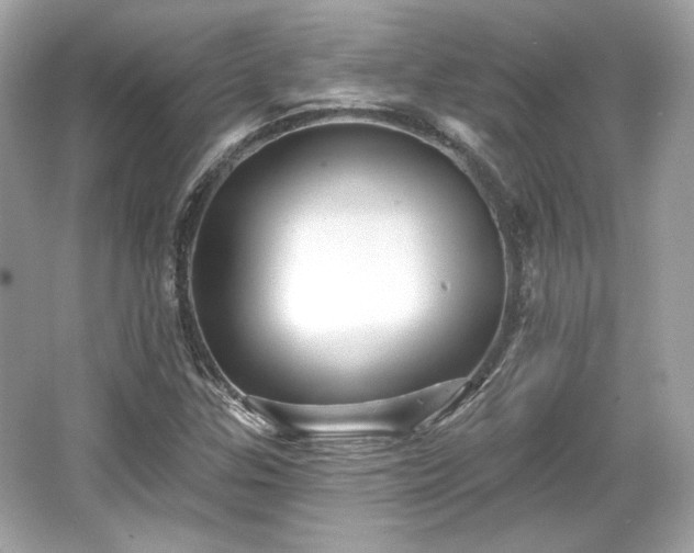 X0000065991307200603101454