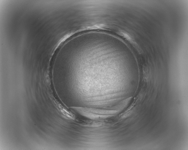 X0000065991308200603101454