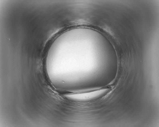 X0000065991309200603101454