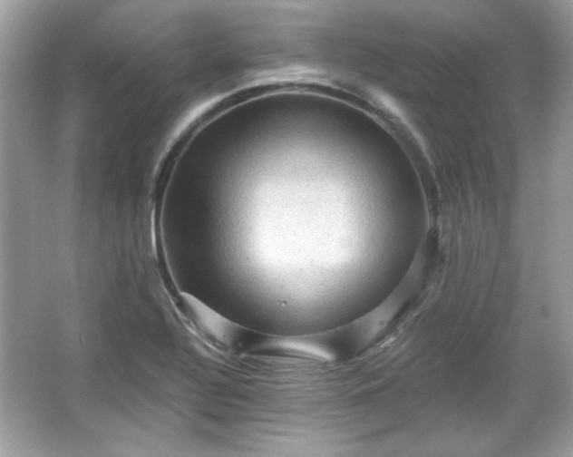 X0000065991320200603101454