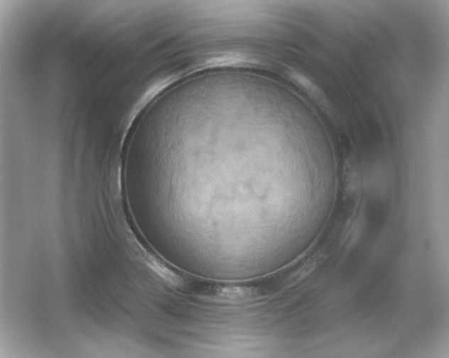 X0000065991322200603101454