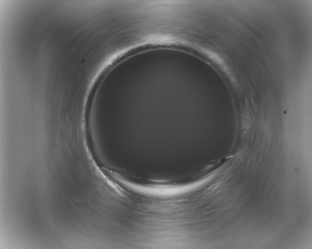 X0000065991327200603101454