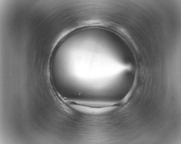 X0000065991328200603101454