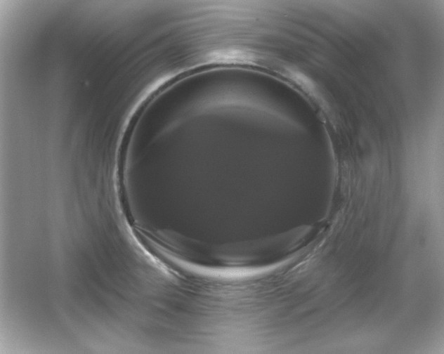 X0000065991331200603101454
