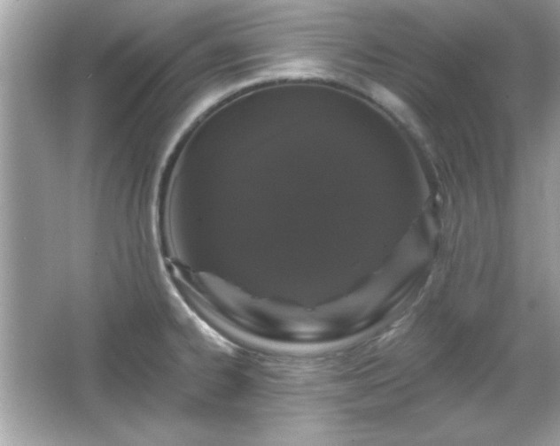 X0000065991334200603101454