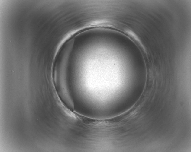 X0000065991336200603101454