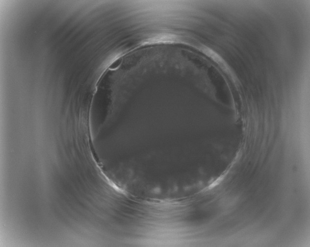 X0000065991337200603101454