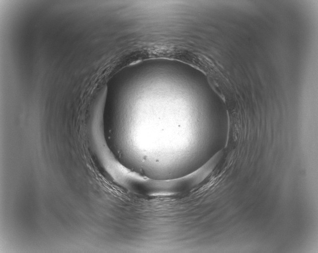 X0000065991345200603101454