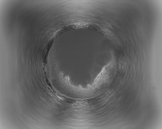 X0000065991346200603101454