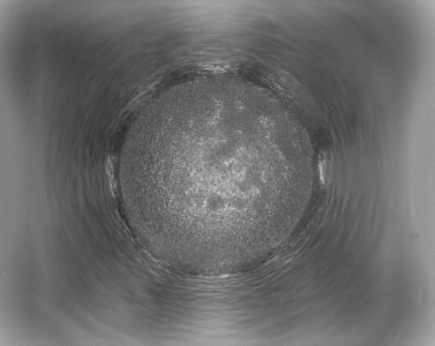 X0000065991347200603101454