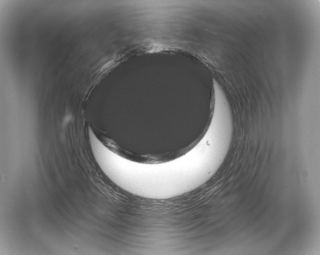 X0000065991348200603101454