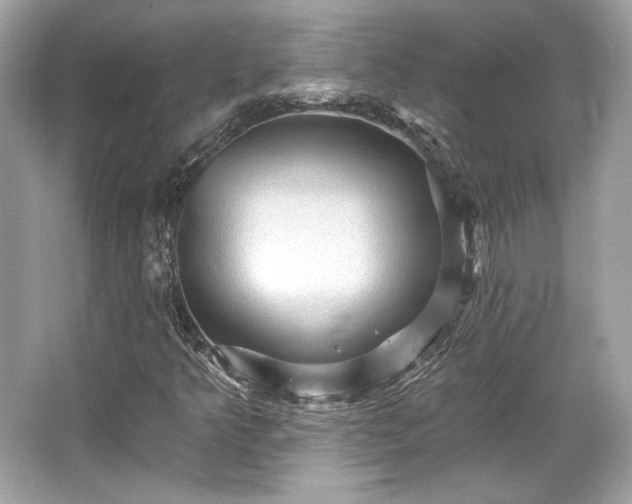 X0000065991349200603101454