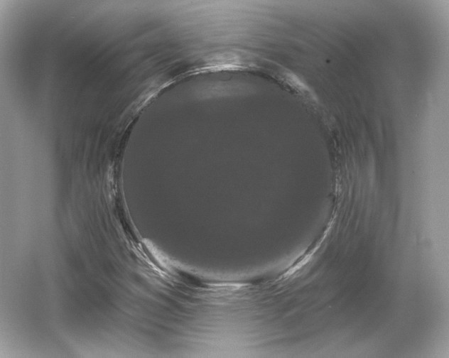X0000065991353200603101454