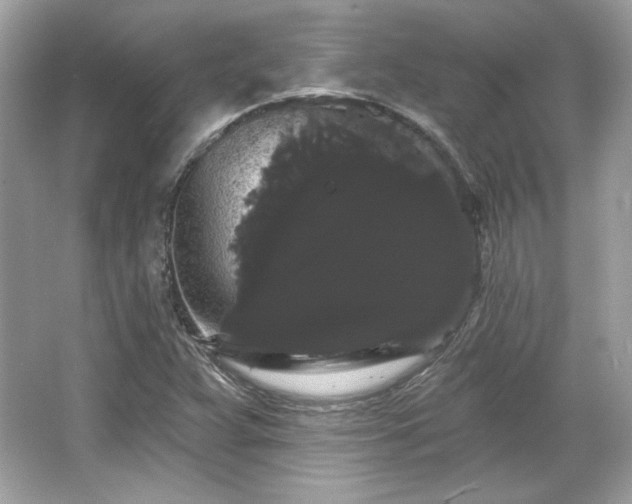 X0000065991359200603101454